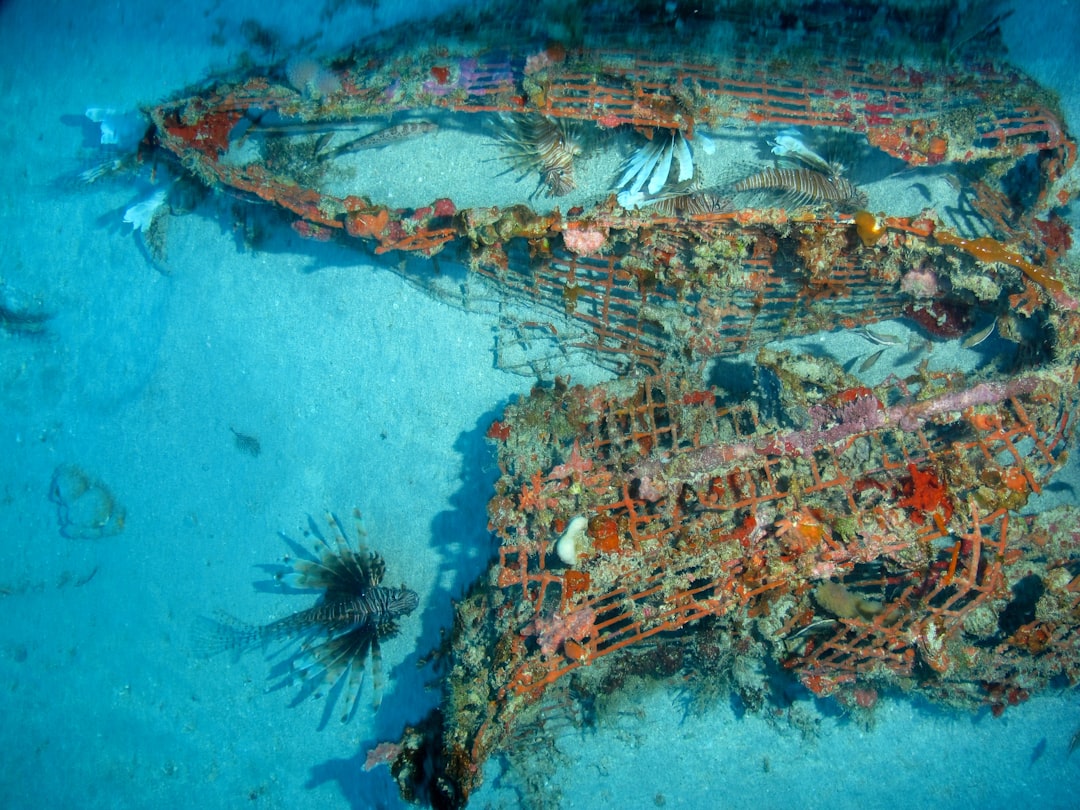Photo Underwater ruins of cities